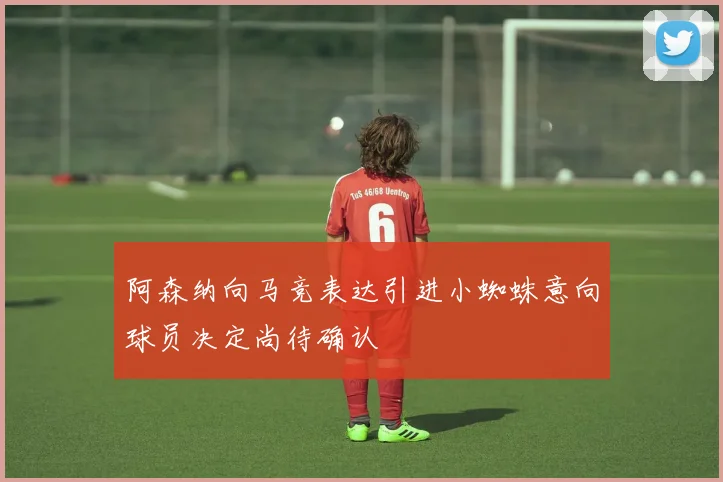 阿森纳向马竞表达引进小蜘蛛意向球员决定尚待确认